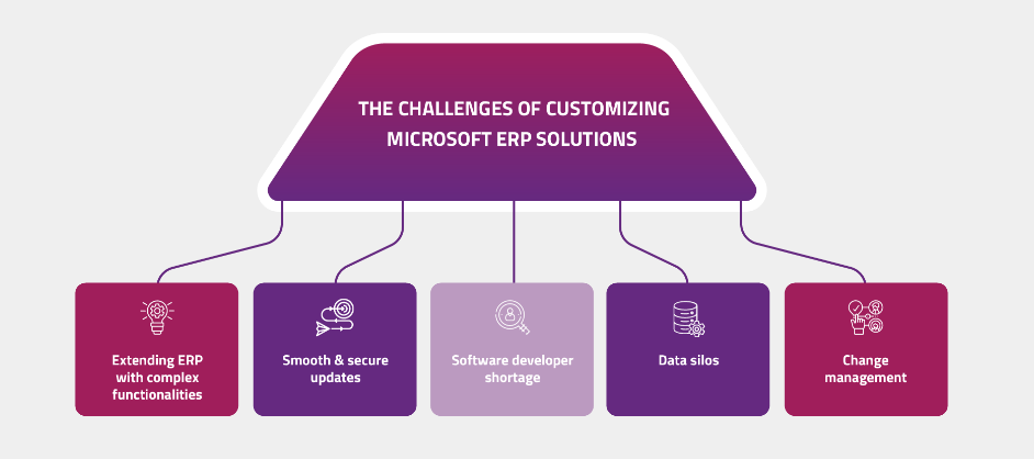 Microsoft partners  ERP challenges